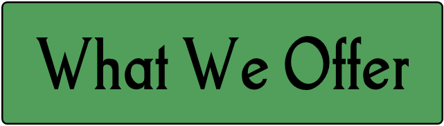 What we offer